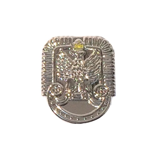 Pins_0004_Siły Powietrzne.jpg