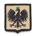 Naszywka Orzeł Godło