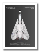 F-14 TOMCAT