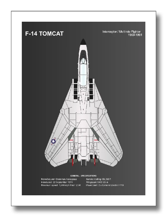 F-14 TOMCAT