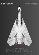 F-14 TOMCAT