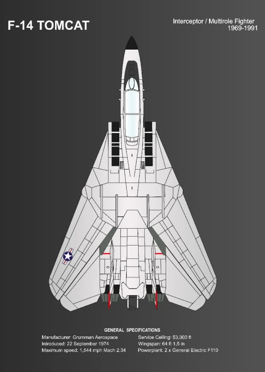 F-14 TOMCAT