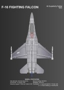 F-16 FIGHTING FALCON