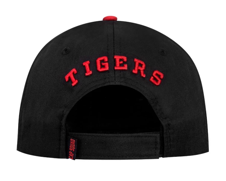 6th TIGERS SQUADRON SILVER
