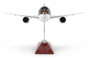 Boeing 787 Dreamliner Royal Jordanian na wprost