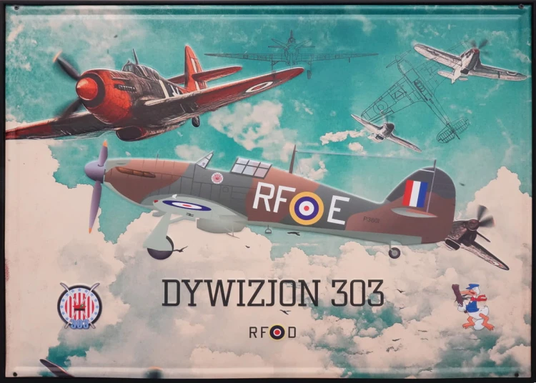 Dywizjon 303